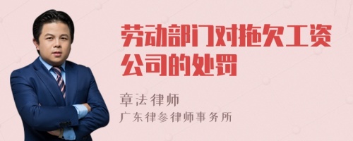 劳动部门对拖欠工资公司的处罚