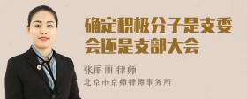 确定积极分子是支委会还是支部大会