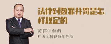 法律对数罪并罚是怎样规定的