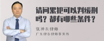 请问累犯可以判缓刑吗？都有哪些条件？