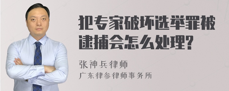 犯专家破坏选举罪被逮捕会怎么处理?