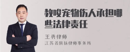 教唆宠物伤人承担哪些法律责任