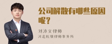 公司解散有哪些原因呢？