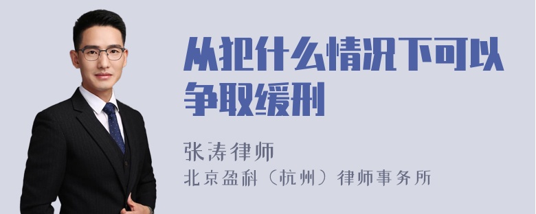 从犯什么情况下可以争取缓刑