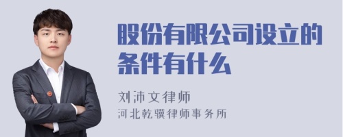 股份有限公司设立的条件有什么