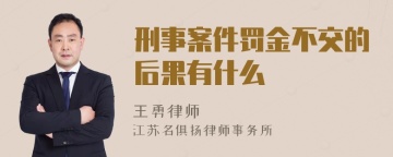 刑事案件罚金不交的后果有什么