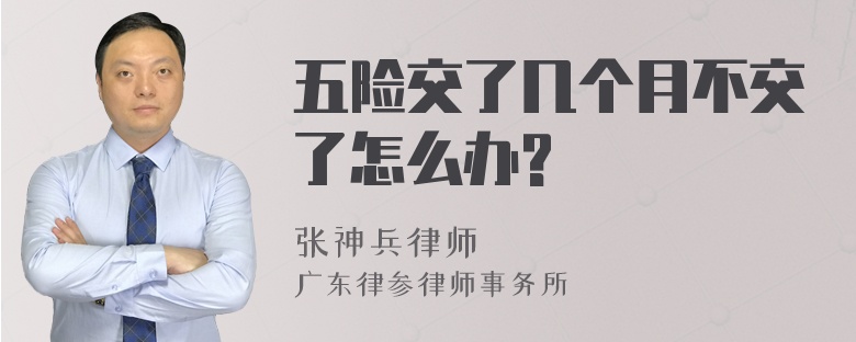 五险交了几个月不交了怎么办?