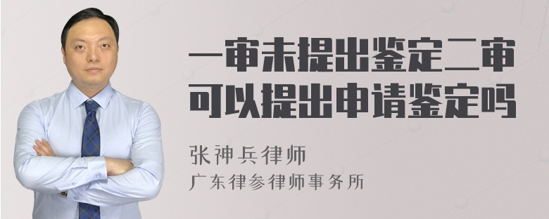 一审未提出鉴定二审可以提出申请鉴定吗