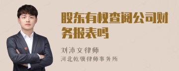 股东有权查阅公司财务报表吗