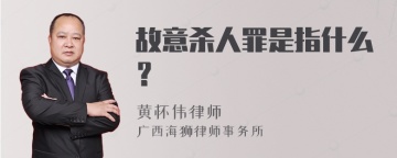 故意杀人罪是指什么？