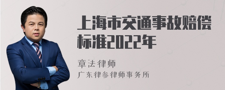 上海市交通事故赔偿标准2022年