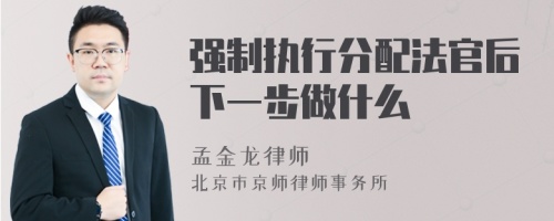 强制执行分配法官后下一步做什么