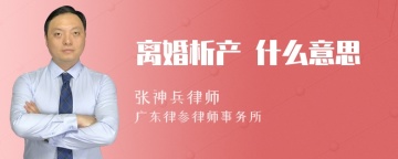 离婚析产 什么意思