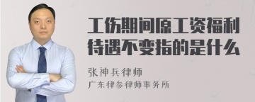 工伤期间原工资福利待遇不变指的是什么