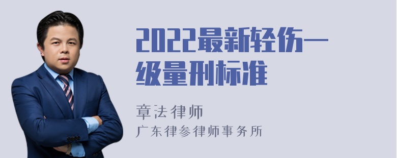 2022最新轻伤一级量刑标准