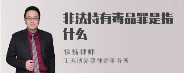 非法持有毒品罪是指什么