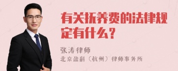 有关抚养费的法律规定有什么？