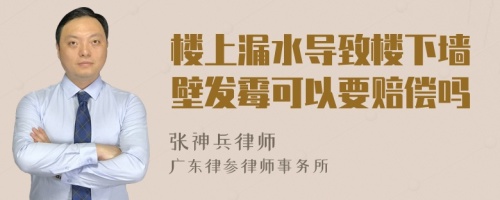 楼上漏水导致楼下墙壁发霉可以要赔偿吗