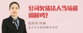 公司欠债法人当场能调解吗?