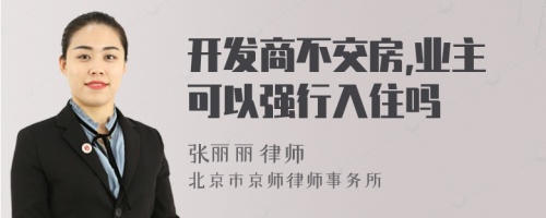 开发商不交房,业主可以强行入住吗