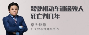 驾驶机动车逃逸致人死亡判几年