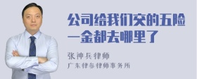 公司给我们交的五险一金都去哪里了