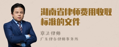 湖南省律师费用收取标准的文件