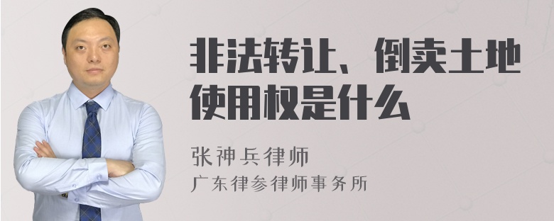 非法转让、倒卖土地使用权是什么