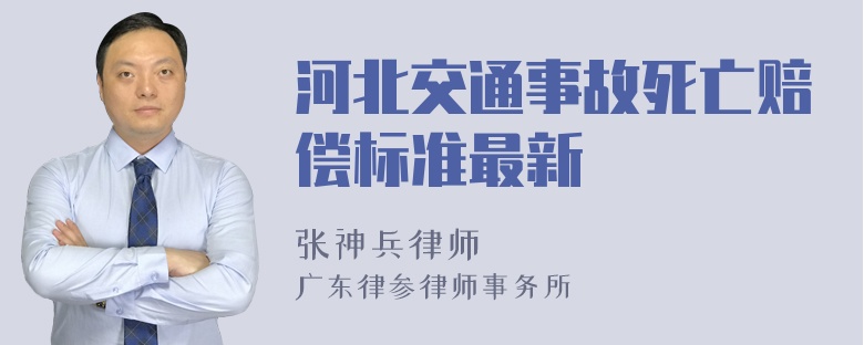 河北交通事故死亡赔偿标准最新