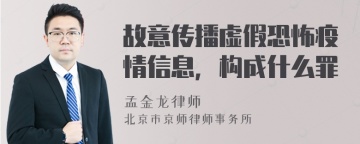 故意传播虚假恐怖疫情信息，构成什么罪