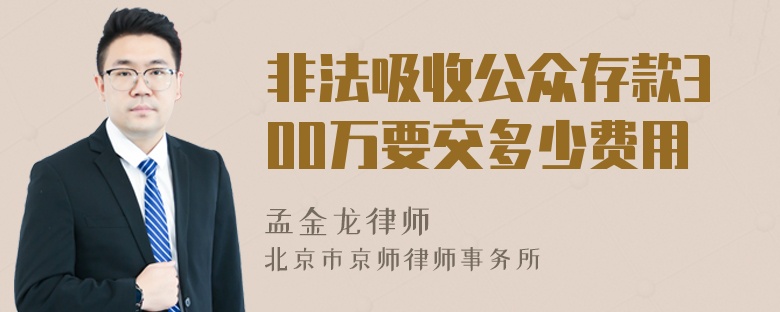 非法吸收公众存款300万要交多少费用