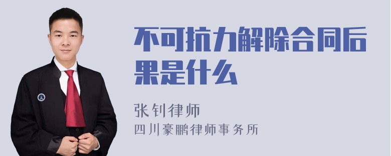 不可抗力解除合同后果是什么