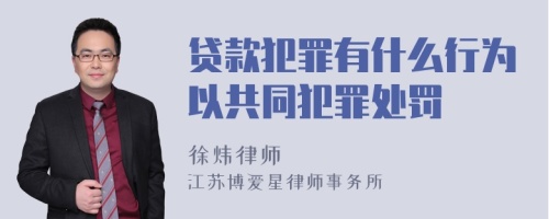 贷款犯罪有什么行为以共同犯罪处罚