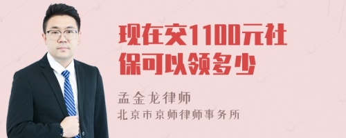 现在交1100元社保可以领多少