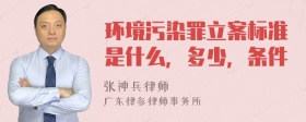 环境污染罪立案标准是什么，多少，条件