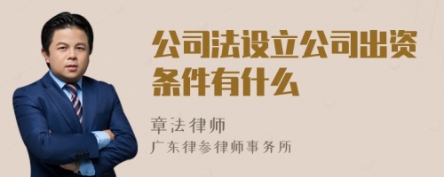 公司法设立公司出资条件有什么