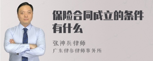 保险合同成立的条件有什么