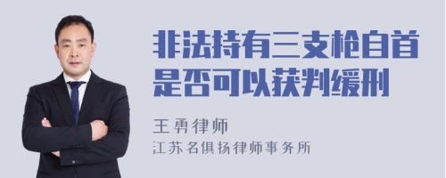 非法持有三支枪自首是否可以获判缓刑