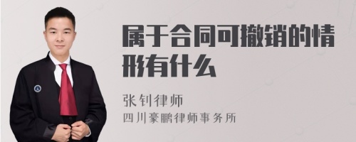 属于合同可撤销的情形有什么