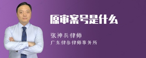 原审案号是什么