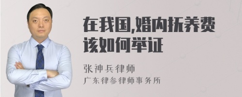 在我国,婚内抚养费该如何举证