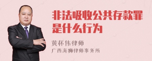 非法吸收公共存款罪是什么行为