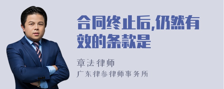 合同终止后,仍然有效的条款是