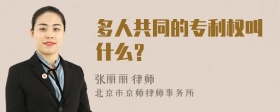 多人共同的专利权叫什么？