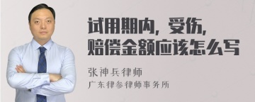 试用期内, 受伤，赔偿金额应该怎么写