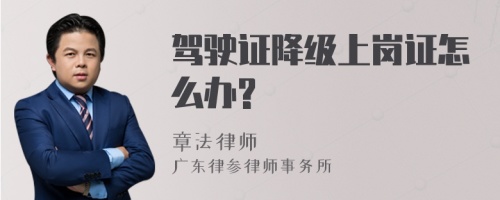 驾驶证降级上岗证怎么办?