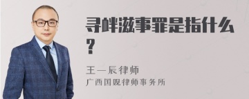 寻衅滋事罪是指什么？