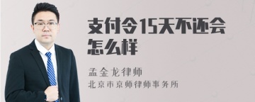 支付令15天不还会怎么样