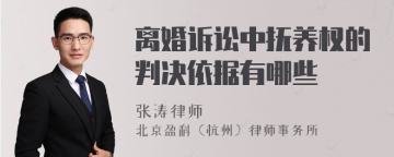 离婚诉讼中抚养权的判决依据有哪些