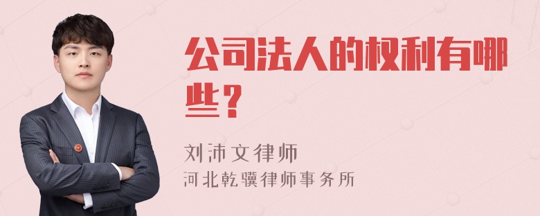 公司法人的权利有哪些？